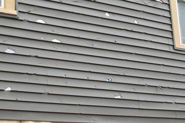 Best Aluminum Siding Installation  in Lowellville, OH