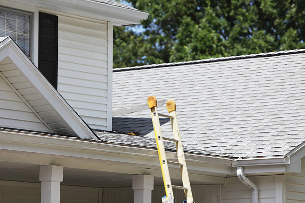 Best Custom Trim and Detailing for Siding  in Lowellville, OH